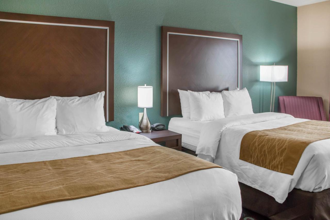 Comfort Inn & Suites San Marcos Bagian luar foto