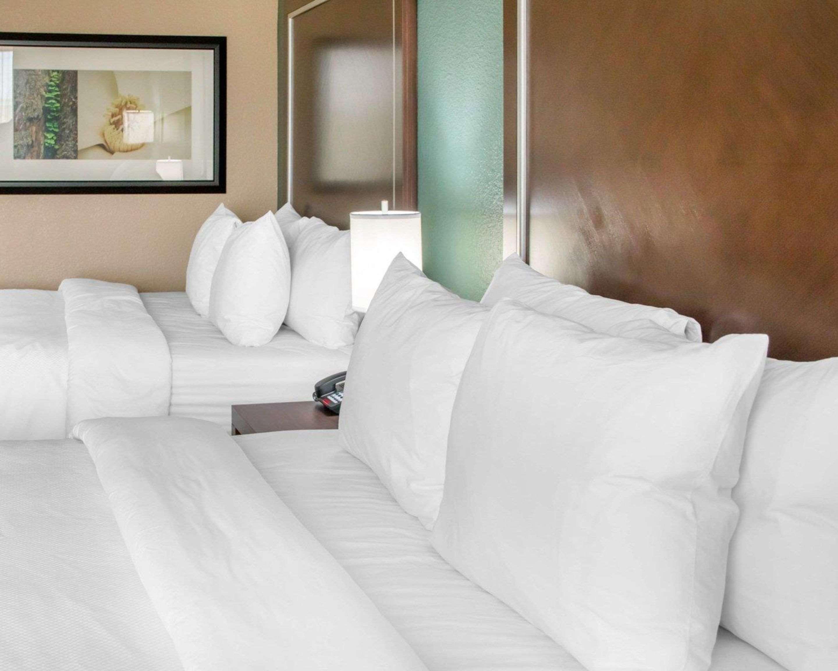 Comfort Inn & Suites San Marcos Bagian luar foto