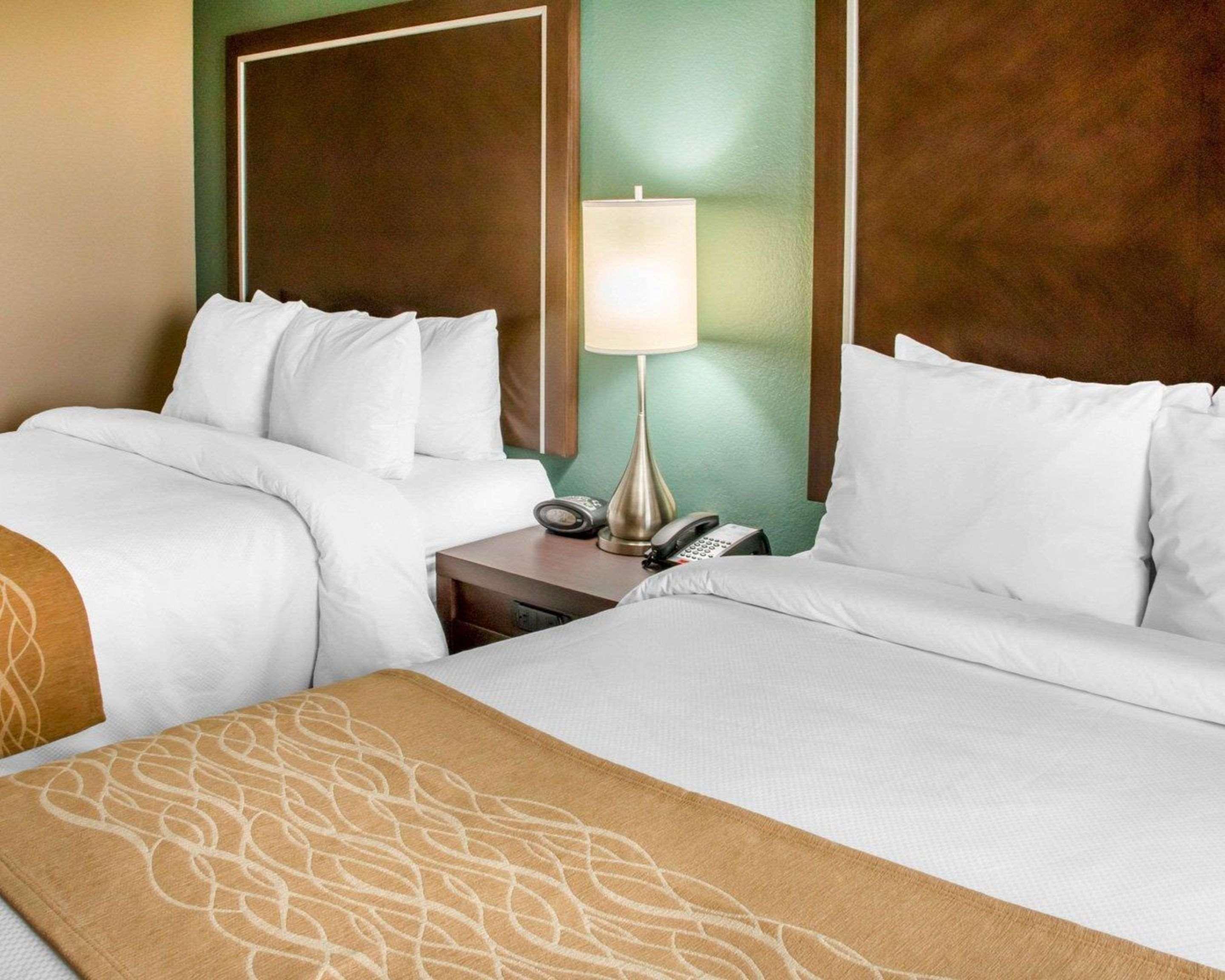 Comfort Inn & Suites San Marcos Bagian luar foto