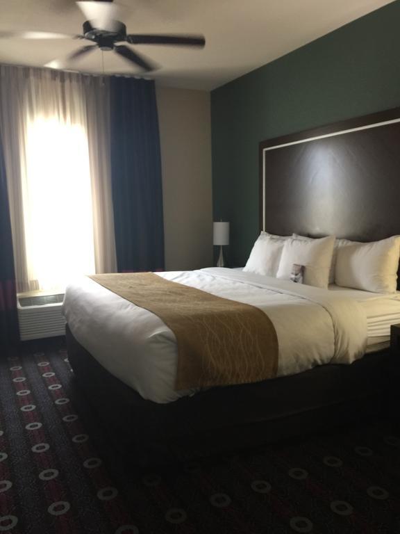 Comfort Inn & Suites San Marcos Bagian luar foto
