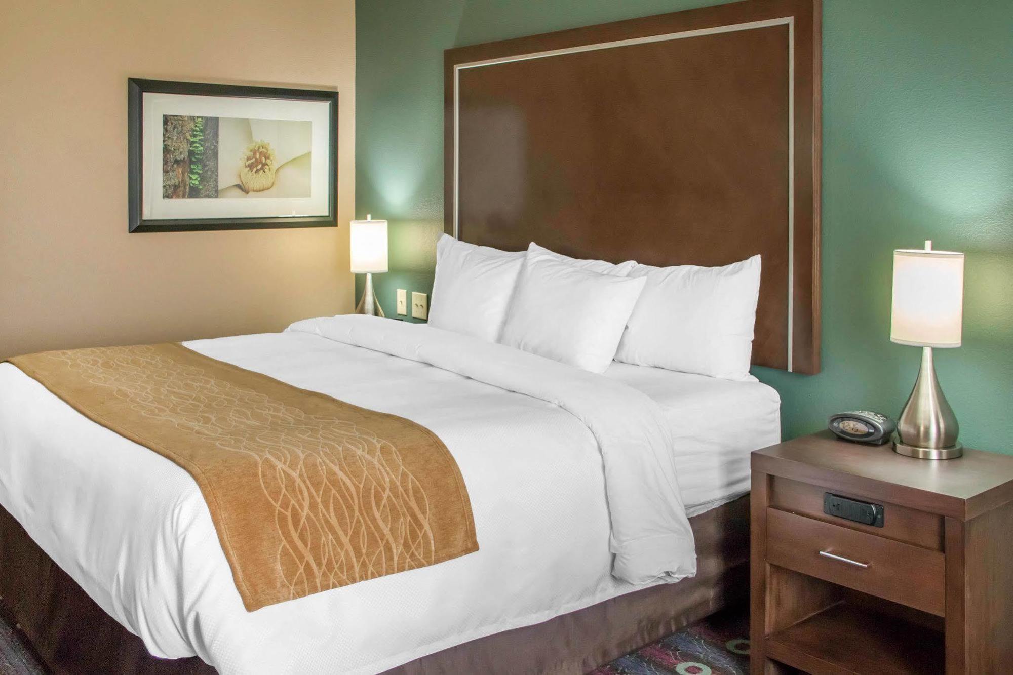 Comfort Inn & Suites San Marcos Bagian luar foto