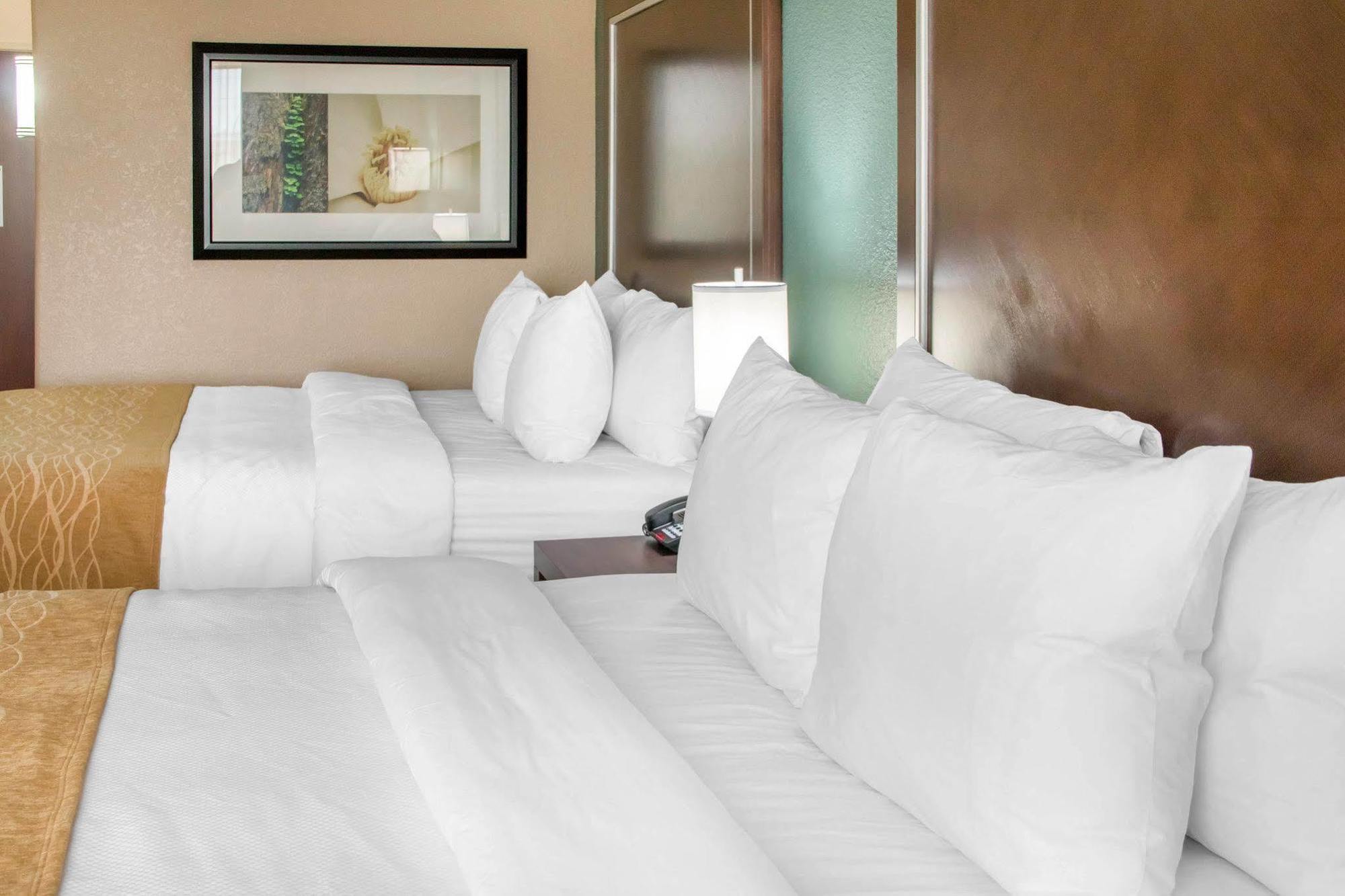 Comfort Inn & Suites San Marcos Bagian luar foto